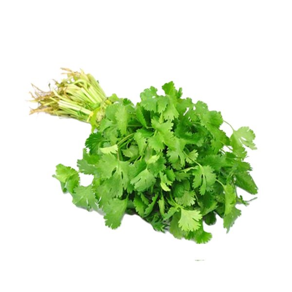 Cilantro (1 ramo)